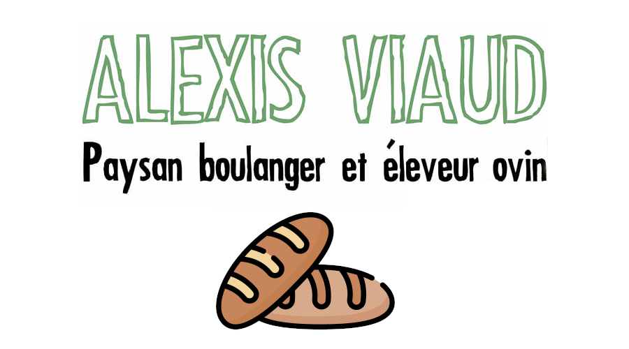 bread